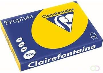 Clairefontaine Trophée Pastel gekleurd papier A3 160 g 250 vel goudgeel